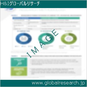 グローバルリサーチ調査レポートのイメージ